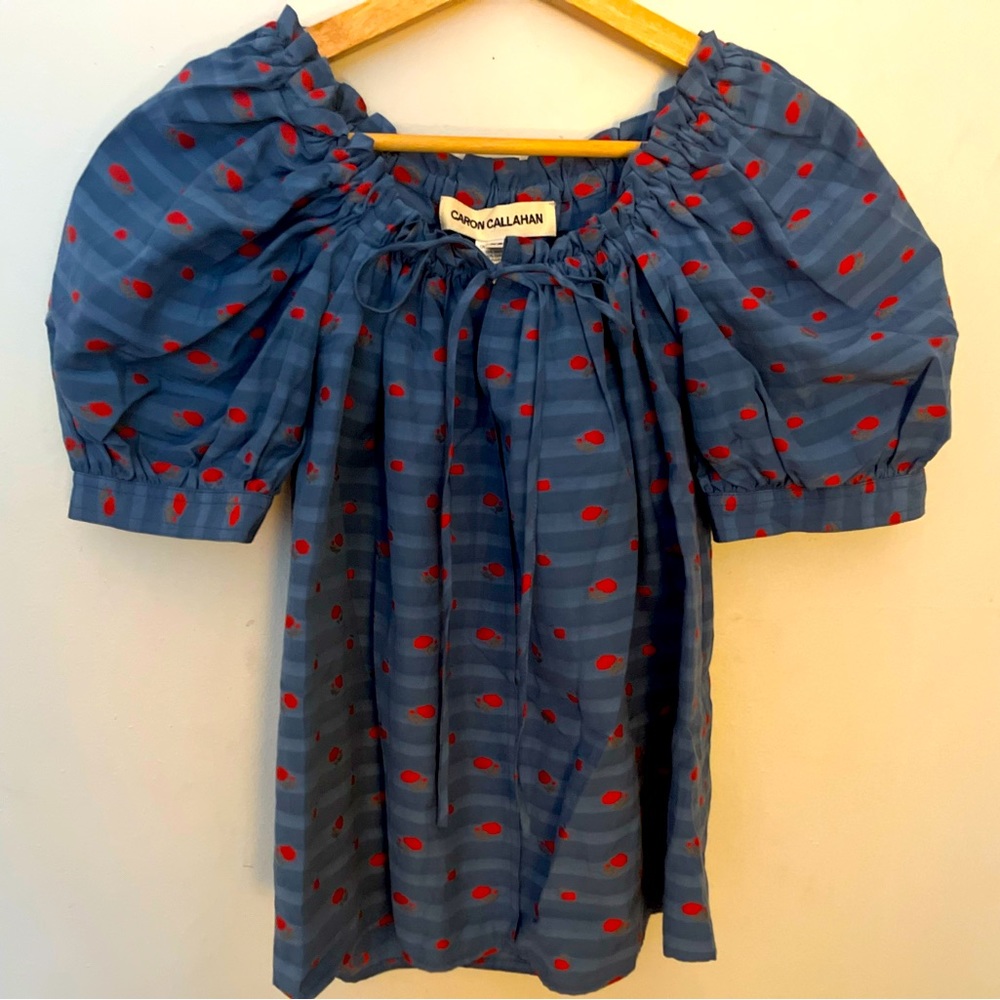 Caron Callahan shirt.   Like new used contain.